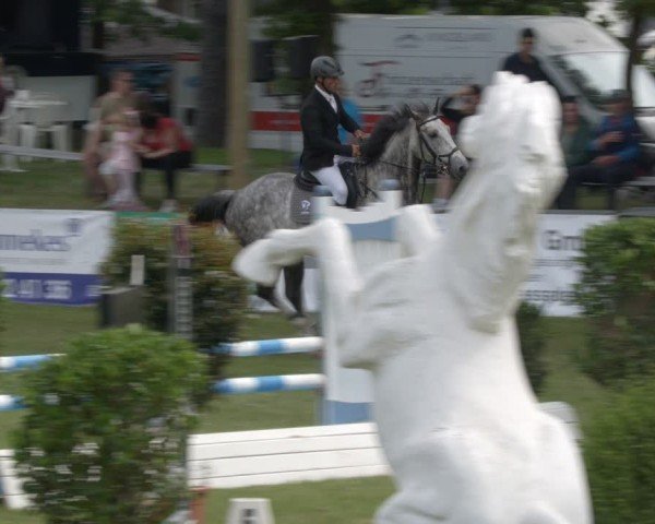 Reitturnier Cottbus-Sielow 2025