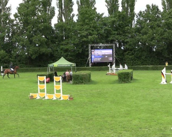 Reitturnier Westeregeln 2025