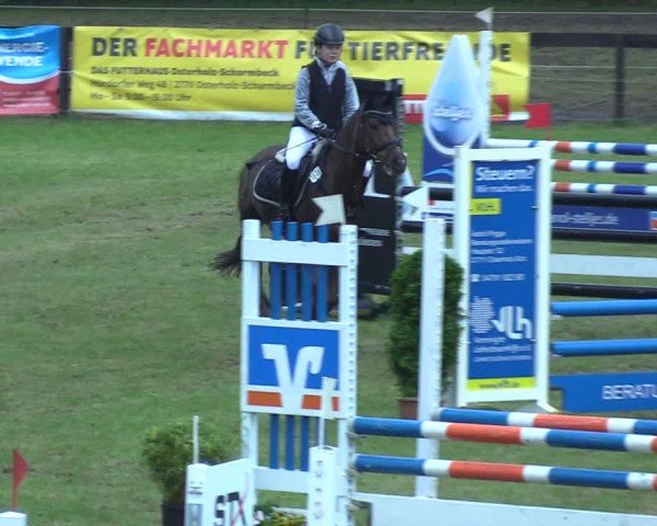 Reitturnier Pennigbüttel 2025