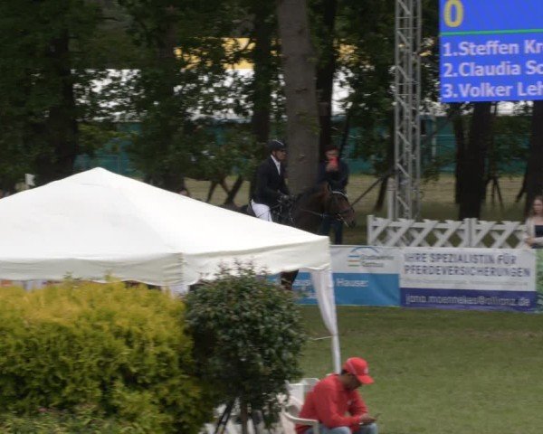 Reitturnier Cottbus-Sielow 2025