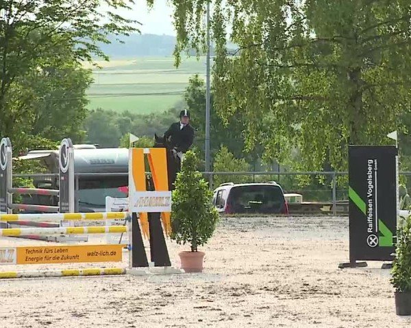 Reitturnier Landenhausen 2025
