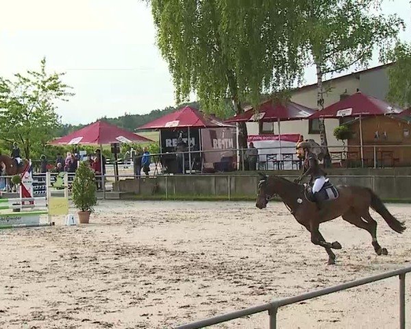 Reitturnier Landenhausen 2025