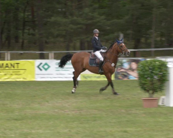 Reitturnier Cottbus-Sielow 2025
