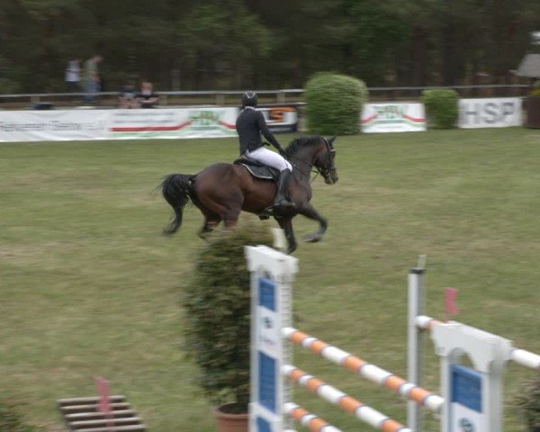 Reitturnier Cottbus-Sielow 2025