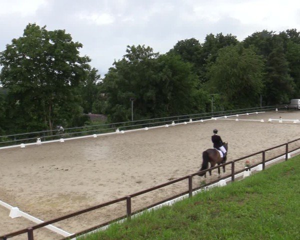 Reitturnier Iserlohn-Kalthof 2025