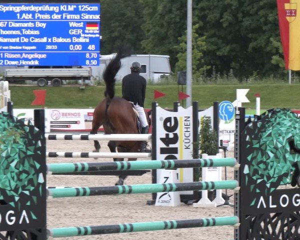 Reitturnier Borken 2025
