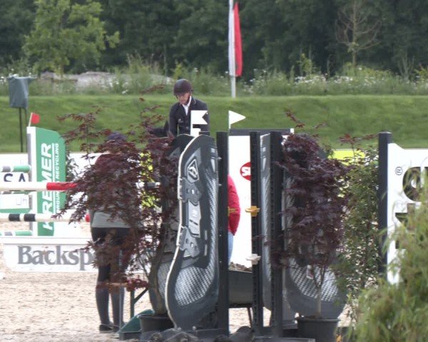 Reitturnier Borken 2025
