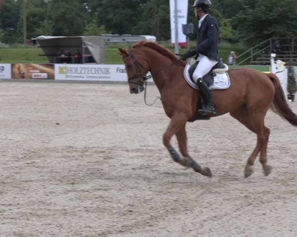 Reitturnier Borken 2025