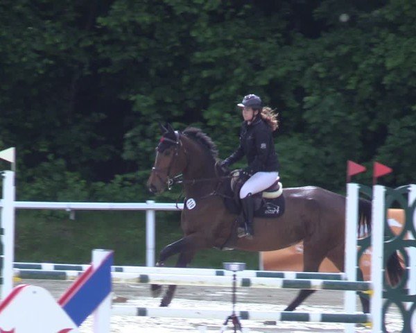 Reitturnier Siegen-Weidenau  2025