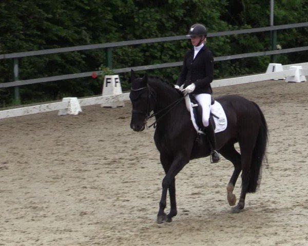Reitturnier Iserlohn-Kalthof 2025