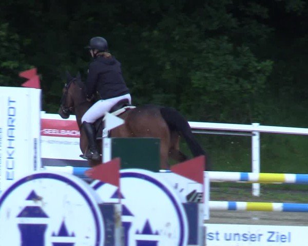 Reitturnier Siegen-Weidenau  2025