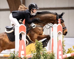 Springpferd Collins Werlemann (Deutsches Reitpony, 2012, von Chantre B)