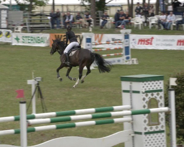 Reitturnier Cottbus-Sielow 2025