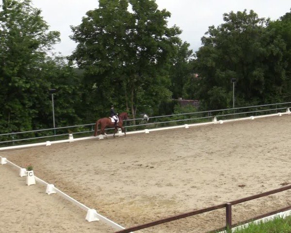 Reitturnier Iserlohn-Kalthof 2025