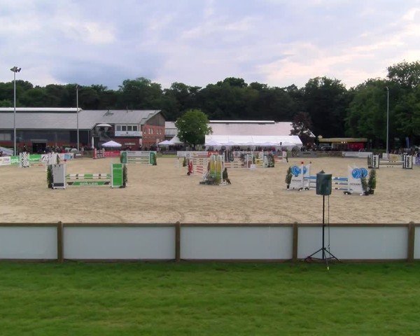 Reitturnier Borken 2025
