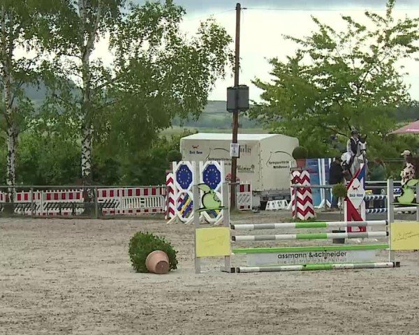 Reitturnier Landenhausen 2025