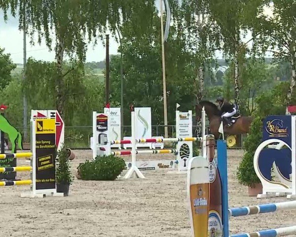 Reitturnier Landenhausen 2025