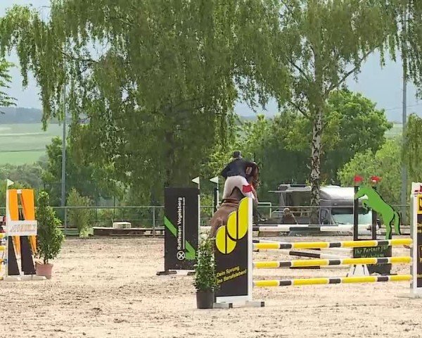 Reitturnier Landenhausen 2025