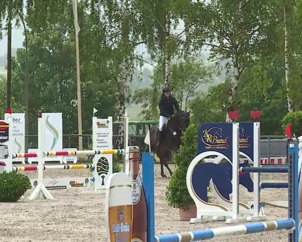 Reitturnier Landenhausen 2025