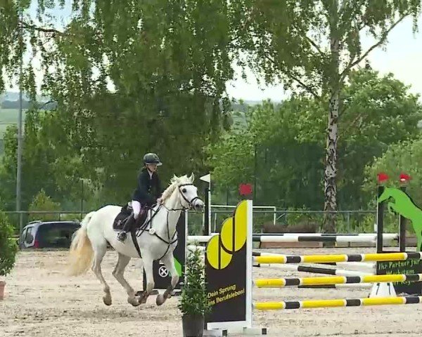 Reitturnier Landenhausen 2025