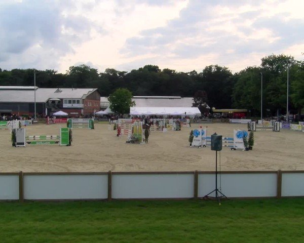 Reitturnier Borken 2025