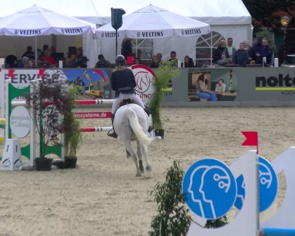 Reitturnier Borken 2025