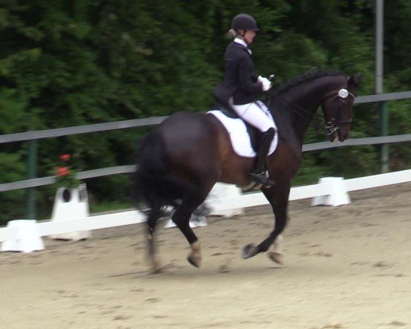 Reitturnier Iserlohn-Kalthof 2025