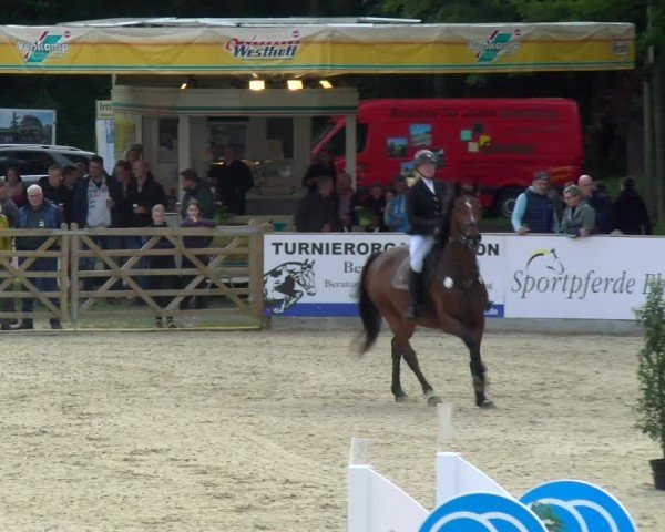 Reitturnier Borken 2025