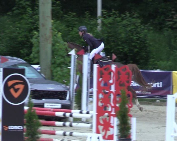 Reitturnier Siegen-Weidenau  2025