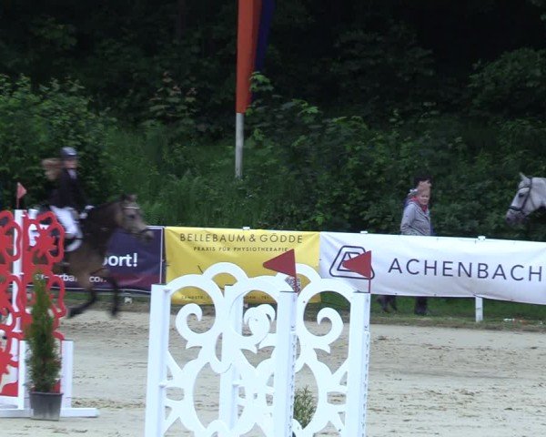 Reitturnier Siegen-Weidenau  2025