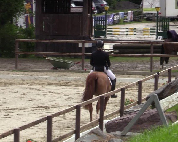 Reitturnier Iserlohn-Kalthof 2025