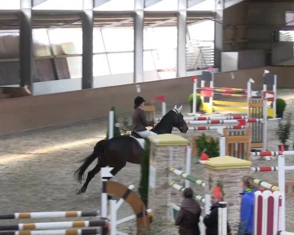 Bonn - Gut Ettenhausen 2014