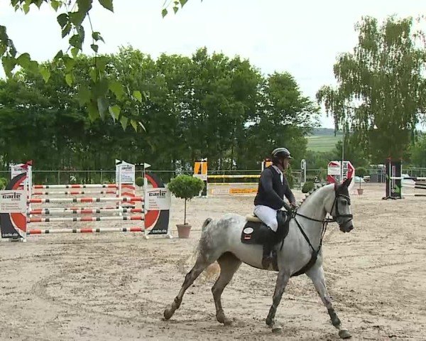 Reitturnier Landenhausen 2025