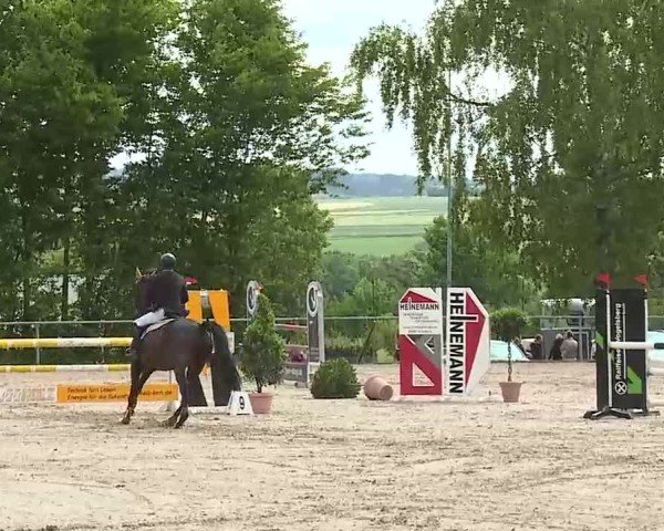 Reitturnier Landenhausen 2025