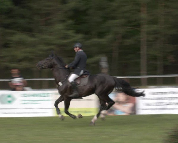 Reitturnier Cottbus-Sielow 2025