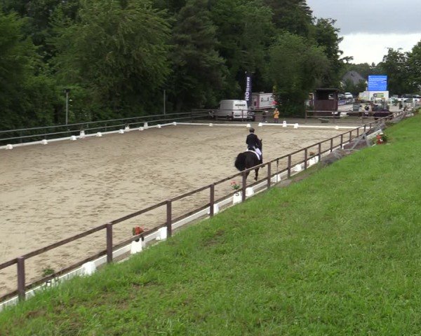 Reitturnier Iserlohn-Kalthof 2025
