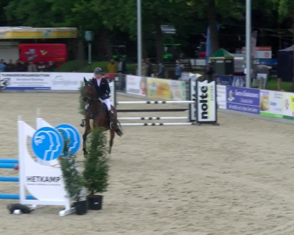 Reitturnier Borken 2025