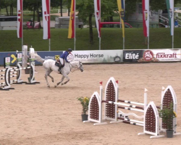 Reitturnier Stadl-Paura 2025