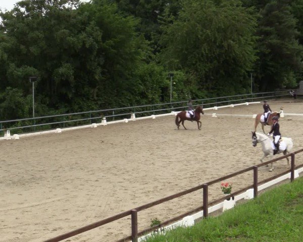 Reitturnier Iserlohn-Kalthof 2025