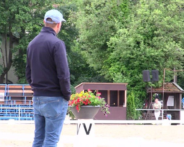 Reitturnier Taufkirchen-Vils/Obb. 2025