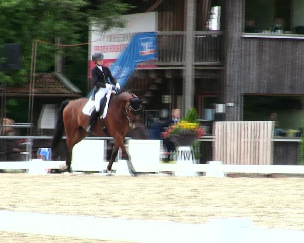 Reitturnier Taufkirchen-Vils/Obb. 2025