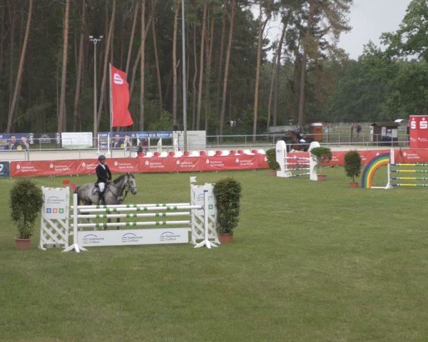 Reitturnier Cottbus-Sielow 2025