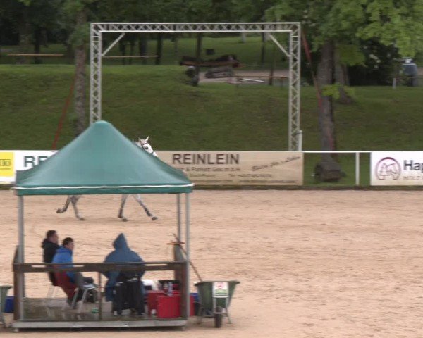 Reitturnier Stadl-Paura 2025