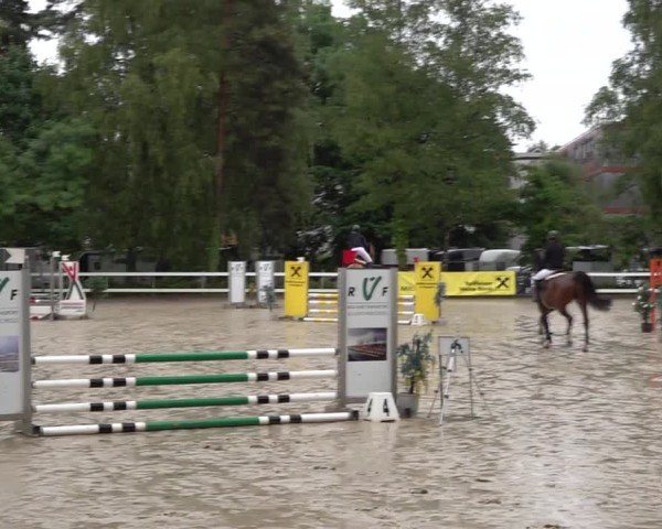 Reitturnier Bregenz 2025