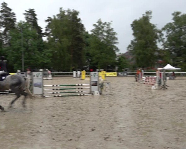 Reitturnier Bregenz 2025