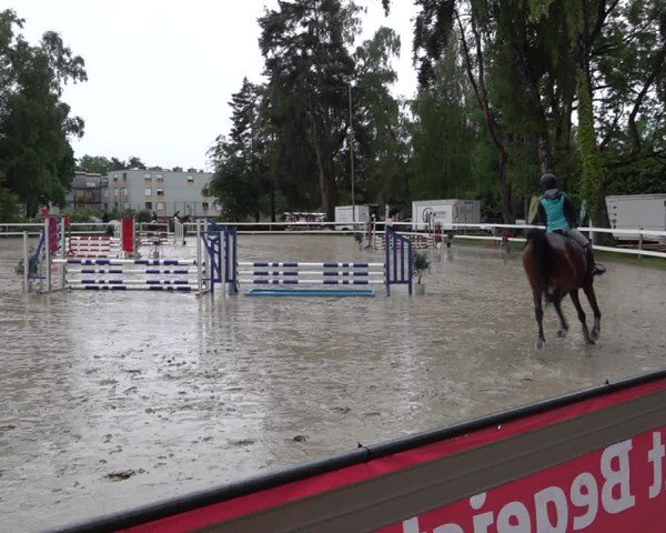 Reitturnier Bregenz 2025