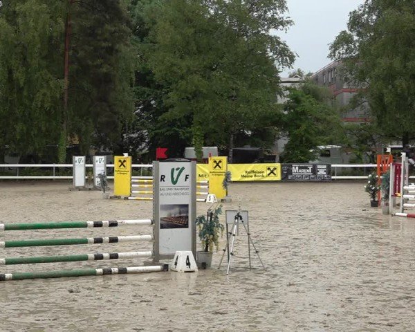 Reitturnier Bregenz 2025