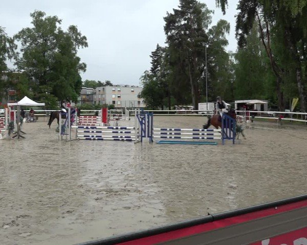 Reitturnier Bregenz 2025