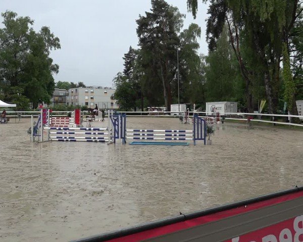 Reitturnier Bregenz 2025