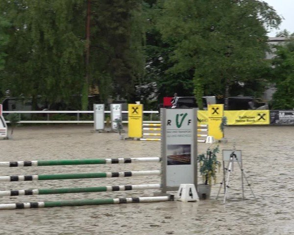 Reitturnier Bregenz 2025